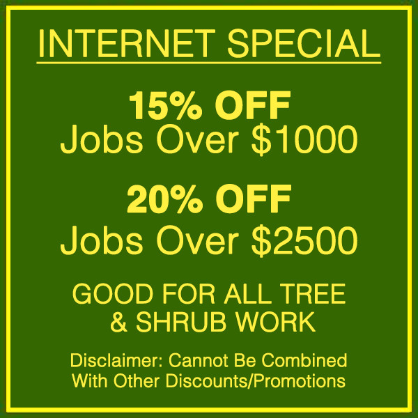internet-special