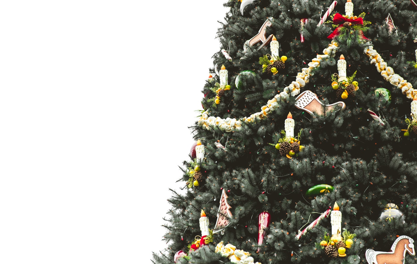 How Did Trees Become Associated With Christmas?