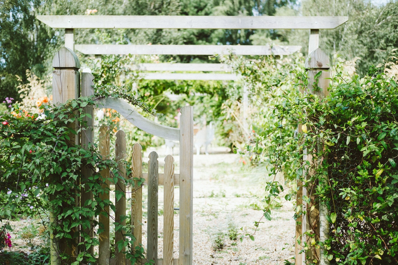 What Soil Is Right For My New Plants & Trees