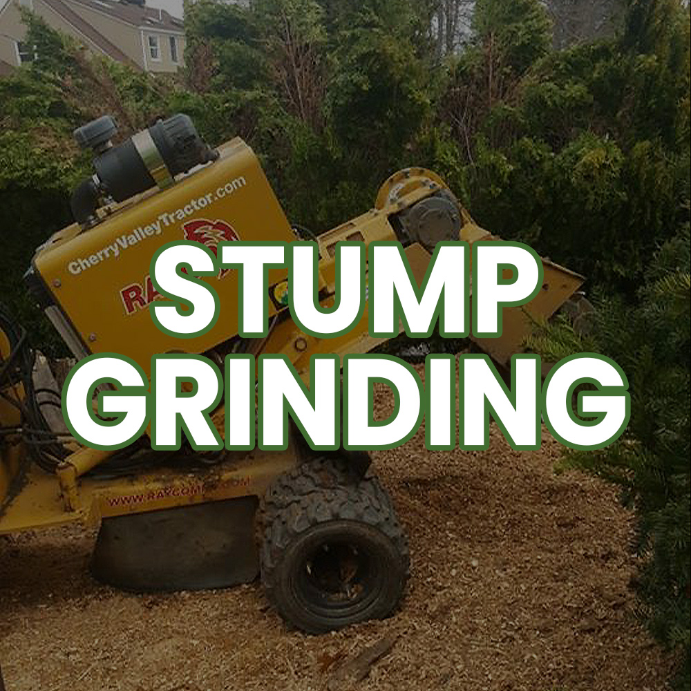 Stump Grinding Button